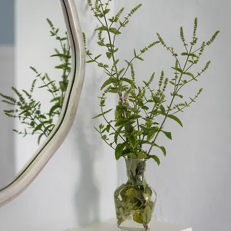 Hébergement de vacances Mountrothe House Kilkenny