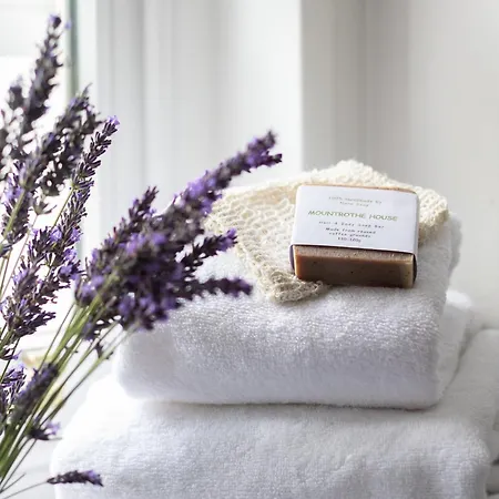 Mountrothe House Hébergement de vacances *