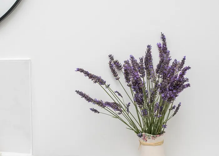 別荘 Mountrothe House キルケニー