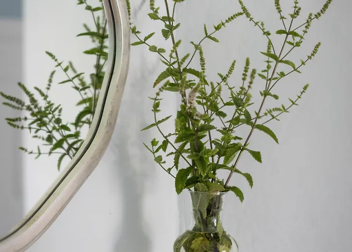 別荘 Mountrothe House キルケニー