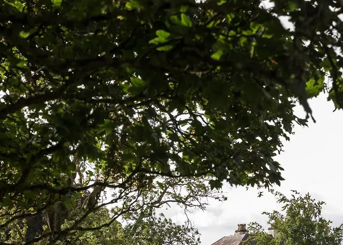 Mountrothe House 別荘 キルケニー